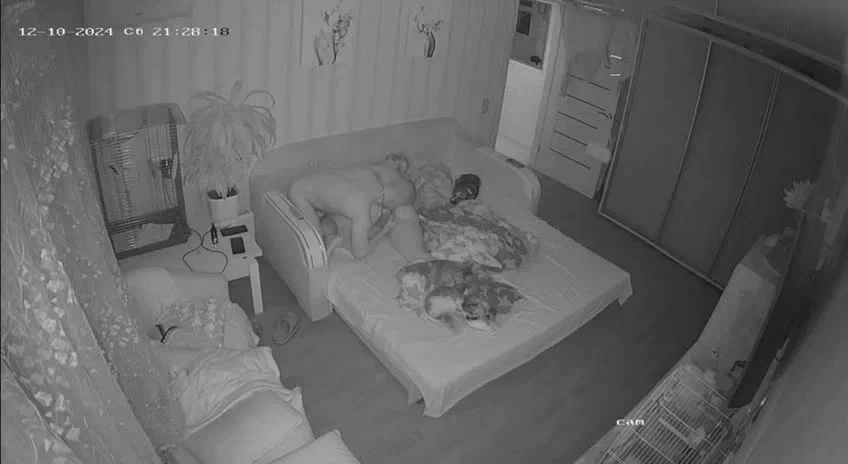 Tr Cam Genel Paylaşim 11 Part 74 İfşa Videoları