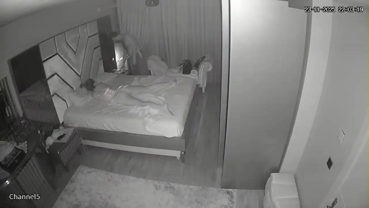 Biraz Kavga Biraz Sex 6 Part 4 İfşa Videoları