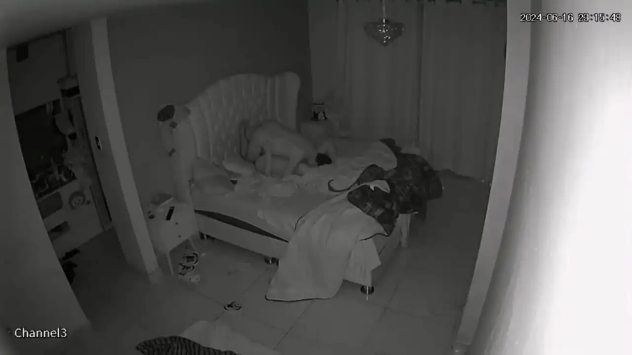 Tr Cam Genel PaylaŞim 12 Part 79 İfşa Videoları
